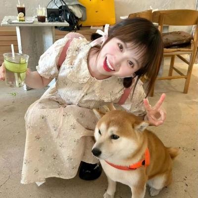 胜利之光 第四季